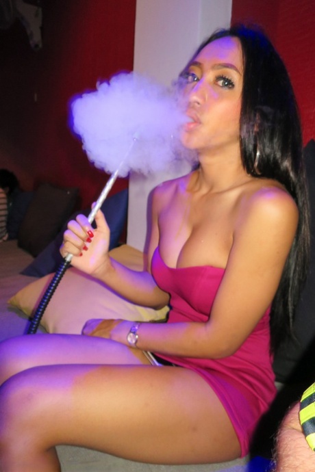 Ladyboys Fucked Bareback performed by Natty Sex Gallery