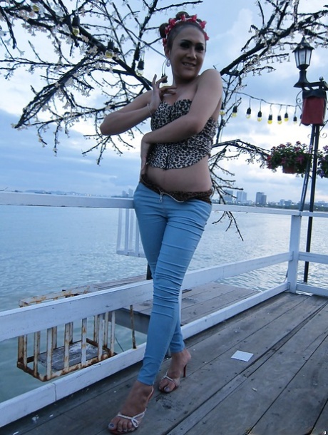 Big tit Asian tranny spreading her nasty ass and posing outdoors
