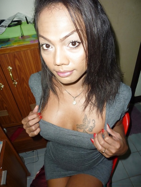Exotic ladyboy flashing her lovely transsexual tits and jerking off