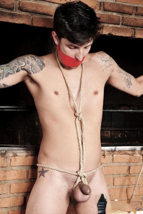 Kinky Latina shemales show their butts and fuck a submissive guy