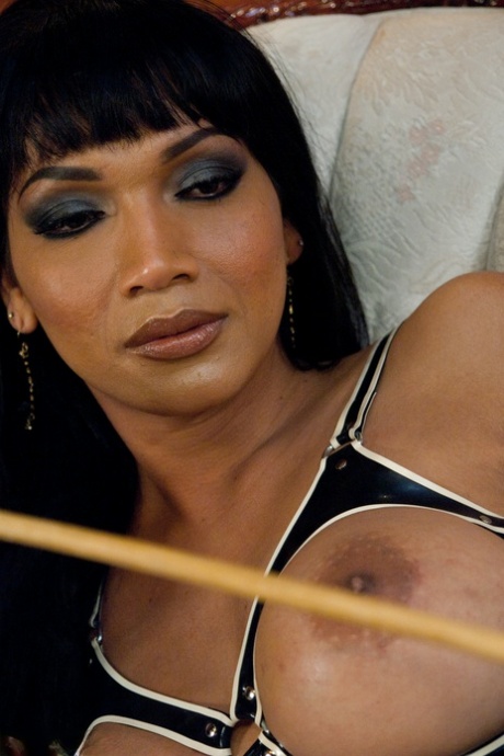 TS Seduction featuring Rocky, Yasmin Lee XXX Images