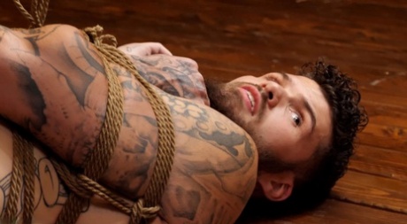 TS Seduction performed by Cherry Mavrik, Inkfit XXX Images